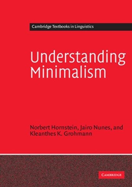 Picture of UNDERSTANDING MINIMALISM