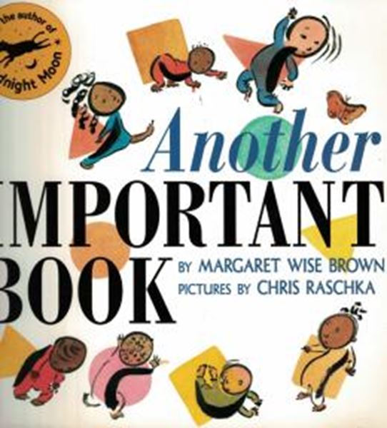 Picture of ANOTHER IMPORTANT BOOK