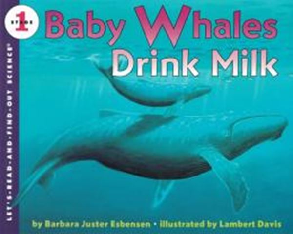 Picture of BABY WHALES DRINK MILK