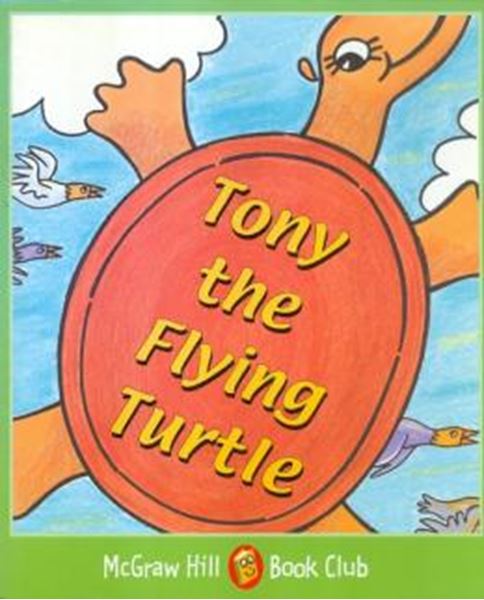 Picture of TONY THE FLYING TURTLE (LEVEL 3)
