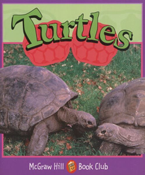 Picture of TURTLES (LEVEL 4)
