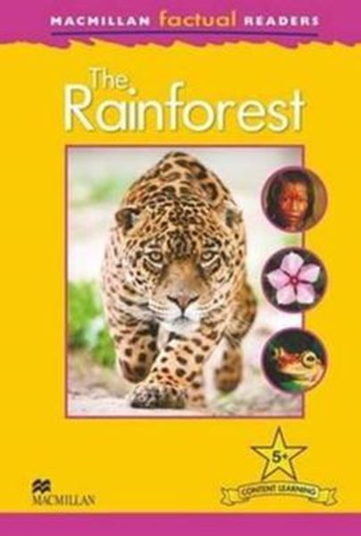 Picture of RAINFOREST,THE