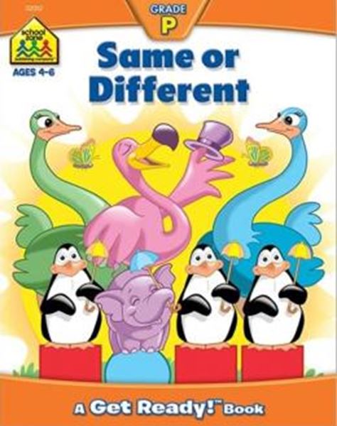 Picture of SAME OR DIFFERENTE