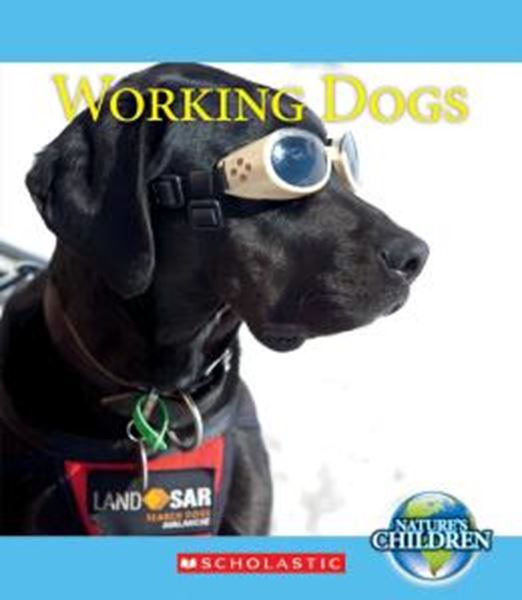 Picture of WORKING DOGS