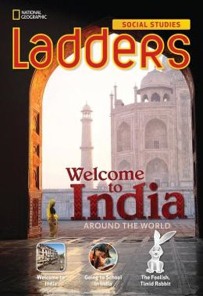 Picture of LADDERS - WELCOME TO INDIA - BELOW LEVEL
