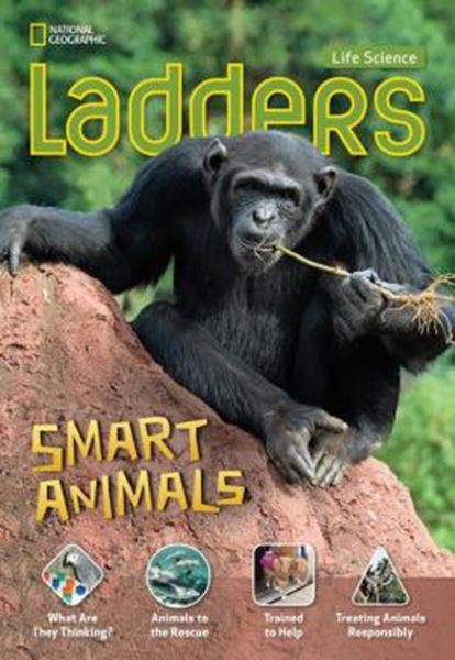 Picture of LADDERS - SMART ANIMALS - ON LEVEL