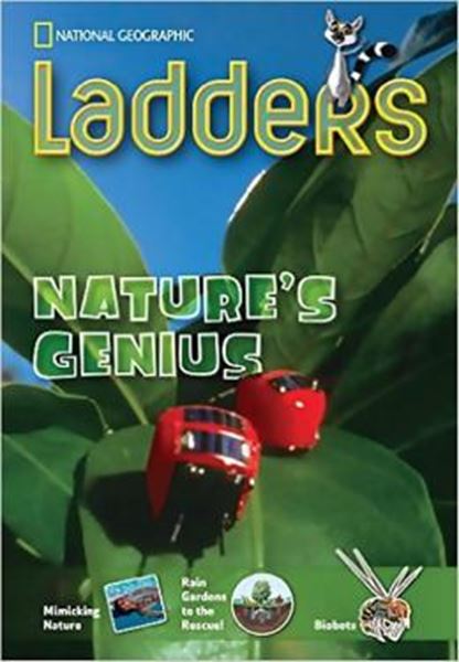 Picture of LADDERS - NATURE´S GENIUS - ABOVE-LEVEL