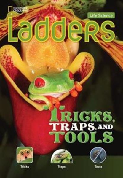 Picture of LADDERS - TRICKS, TRAPS AND TOOLS - ON LEVEL