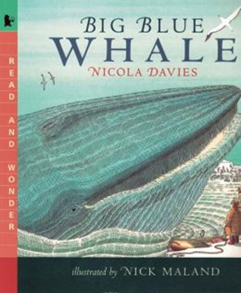 Picture of BIG BLUE WHALE
