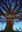 Imagem de WISHTREE