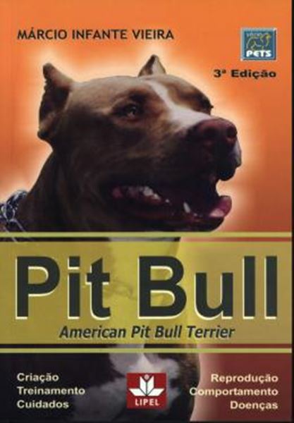Picture of PIT BULL - AMERICAN PIT BULL TERRIER