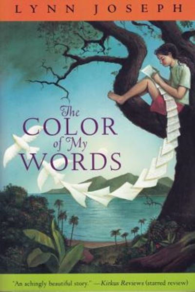 Picture of THE COLOR OF MY WORDS