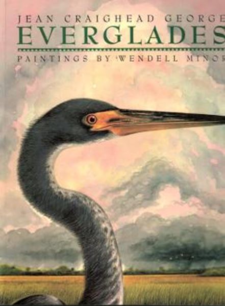 Picture of EVERGLADES