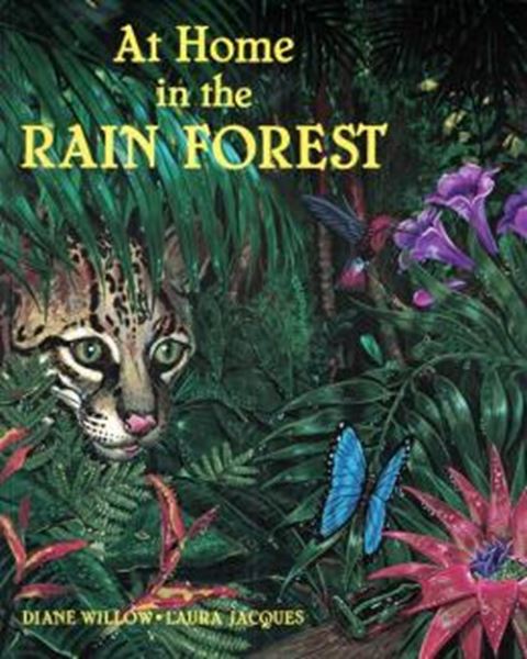 Picture of AT HOME IN THE RAIN FOREST