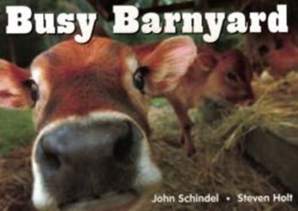 Picture of BUSY BARNYARD
