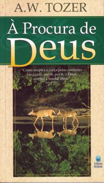Picture of PROCURA DE DEUS, A
