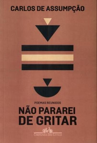 Picture of NÃO PARAREI DE GRITAR