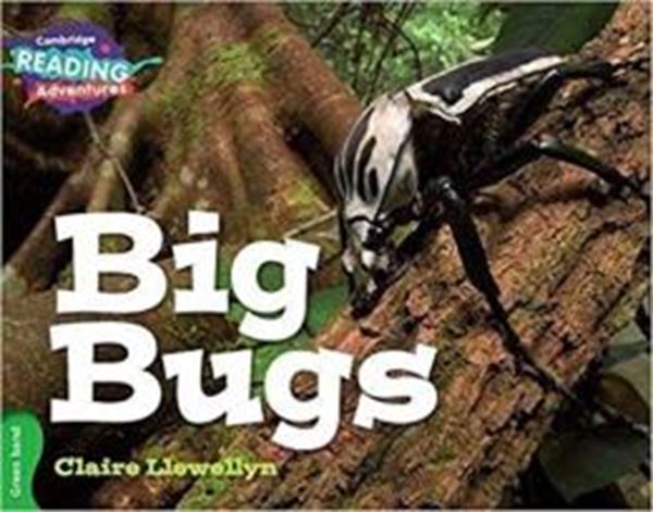 Picture of BIG BUGS