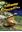 Imagem de SALTWATER CROCODILES WITH DIGIBOOKS APP