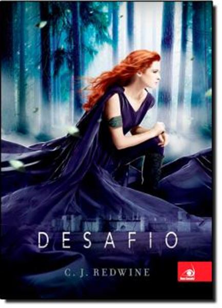 Picture of DESAFIO
