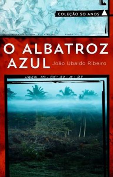 Picture of ALBATROZ AZUL, O