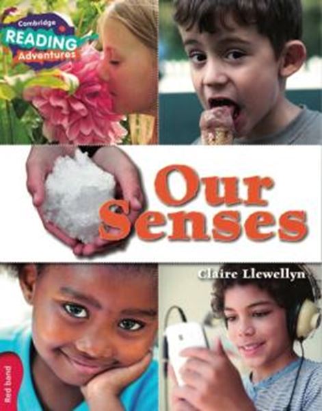 Picture of OUR SENSES RED BAND