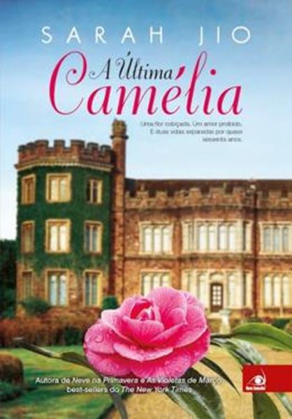Picture of ULTIMA CAMELIA, A