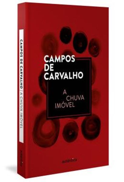 Picture of CHUVA IMOVEL, A
