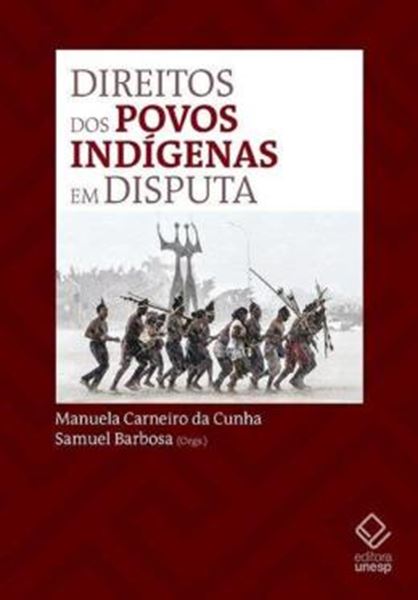 Picture of DIREITOS DOS POVOS INDIGENAS EM DISPUTA