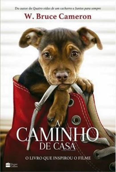 Picture of CAMINHO DE CASA, A
