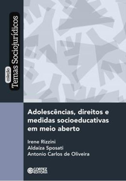 Picture of ADOLESCENCIAS, DIREITOS E MEDIDAS  SOCIOEDUCATIVAS EM MEIO ABERTO