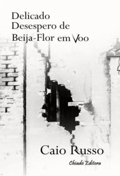 Picture of DELICADO DESESPERO DE BEIJA-FLOR EM VOO