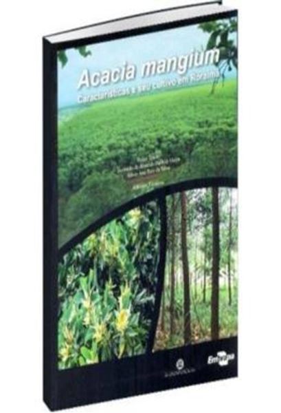 Picture of ACACIA MANGIUM - CARACTERISTICAS E SEU CULTIVO EM RORAIMA