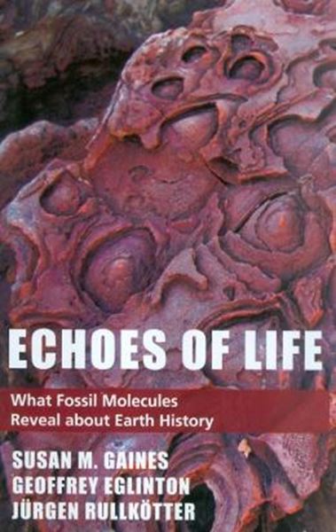 Picture of ECHOES OF LIFE