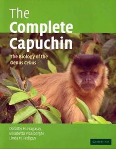 Picture of COMPLETE CAPUCHIN