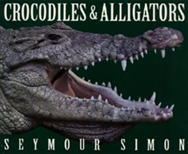 Picture of CROCODILES & ALLIGATORS