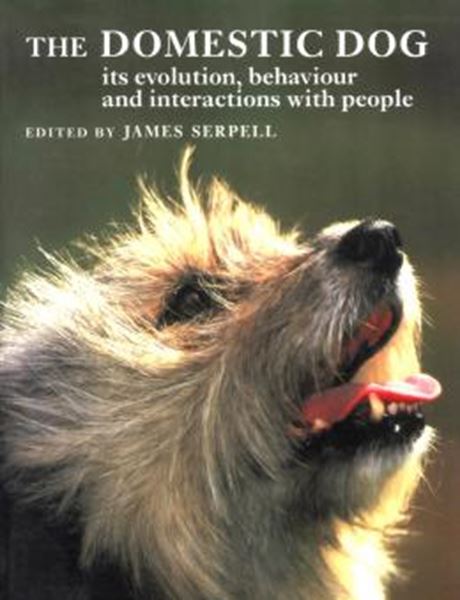 Picture of DOMESTIC DOG, THE