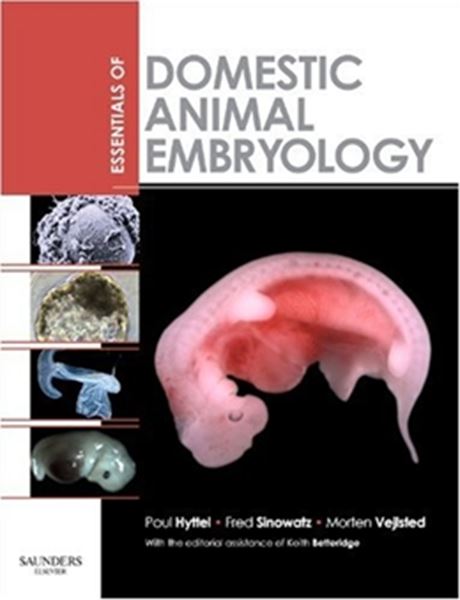 Picture of ESSENTIALS OF DOMESTIC ANIMAL EMBRYOLOGY