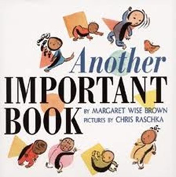 Picture of ANOTHER IMPORTANT BOOK