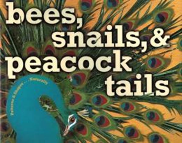 Picture of BEES, SNAILS AND PEACOCK TAILS