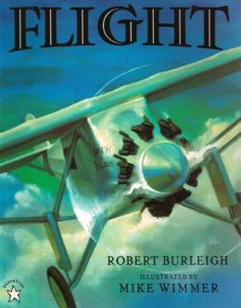 Picture of FLIGHT