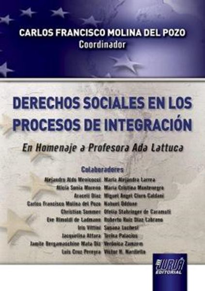 Picture of DERECHOS SOCIALES EN LOS PROCESOS DE INTEGRACION