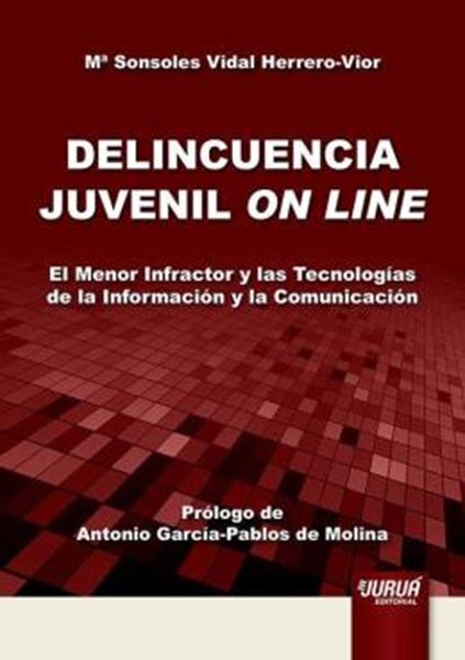 Picture of DELINCUENCIA JUVENIL ON LINE