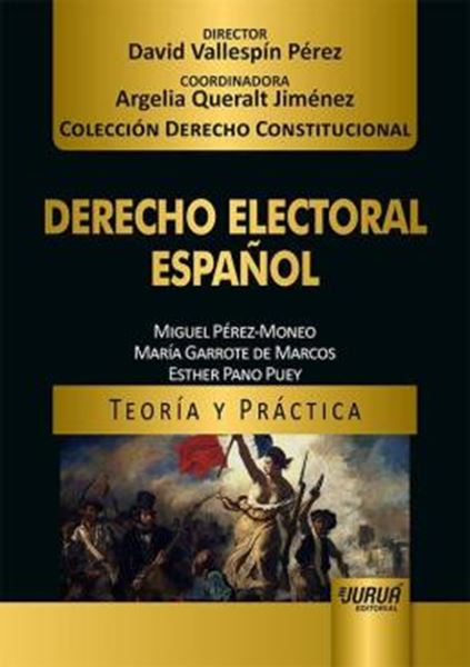 Picture of DERECHO ELECTORAL ESPANOL - TEORIA Y PRACTICA