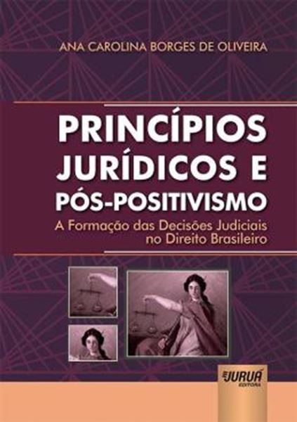 Picture of PRINCIPIOS JURIDICOS E POS-POSITIVISMO