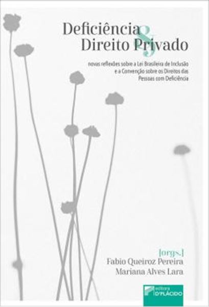 Picture of DEFICIENCIA & DIREITO PRIVADO - NOVAS REFLEXOES SOBRE A LEI BRASILEIRA DE INCLUSAO E A CONVENCAO SOBRE OS DIREITOS DAS PESSOAS COM DEFICIENCIA