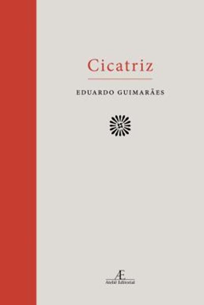 Picture of CICATRIZ: 1995-2015