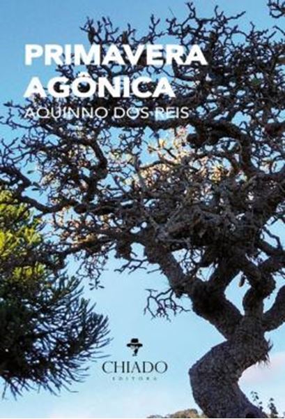 Picture of PRIMAVERA AGONICA