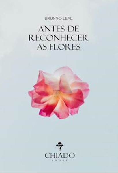 Picture of ANTES DE RECONHECER AS FLORES