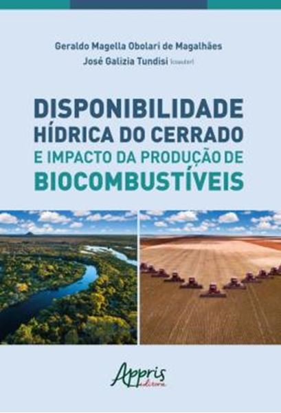 Picture of DISPONIBILIDADE HIDRICA DO CERRADO E IMPACTO DA PRODUCAO DE BIOCOMBUSTIVEIS